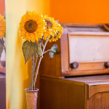 House Adults Only アパート